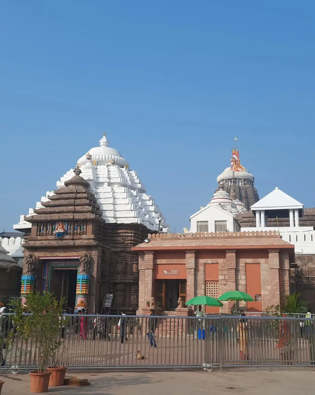 Jagannath Puri image